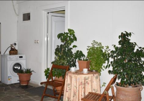Zoe'S Apartment Bright&Cozy Athènes Extérieur photo